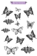 Butterflies