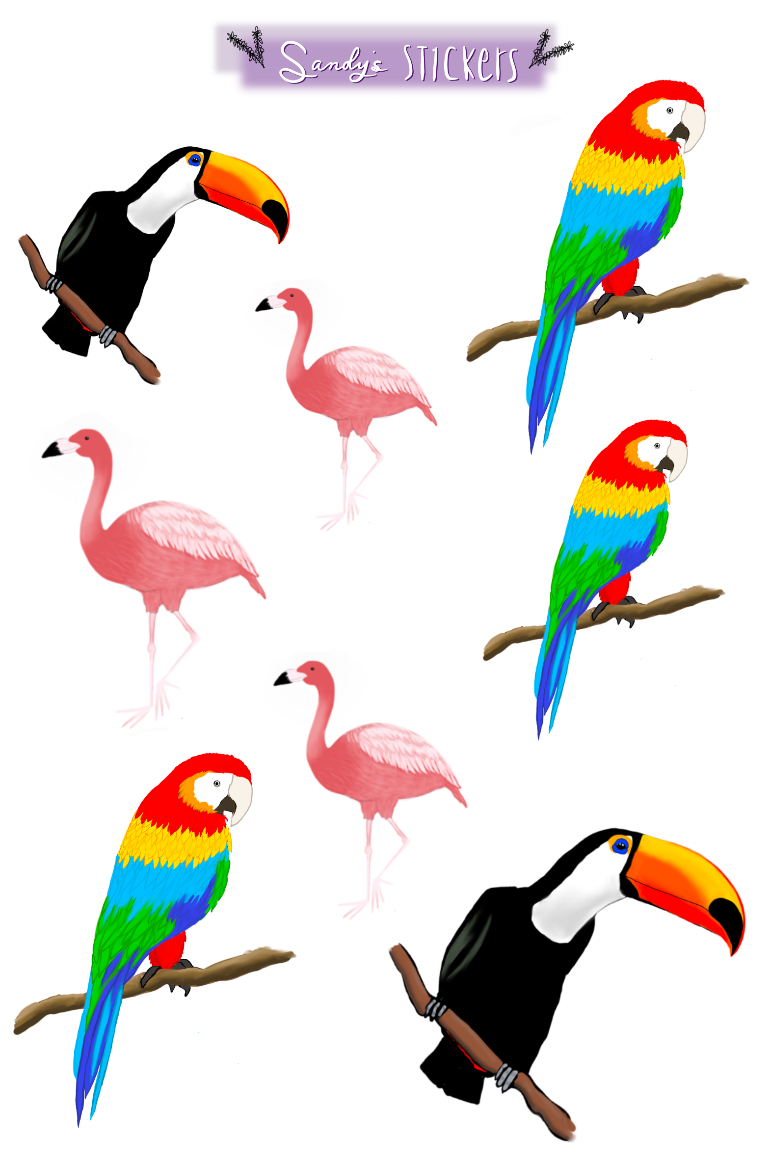 Paradise Birds