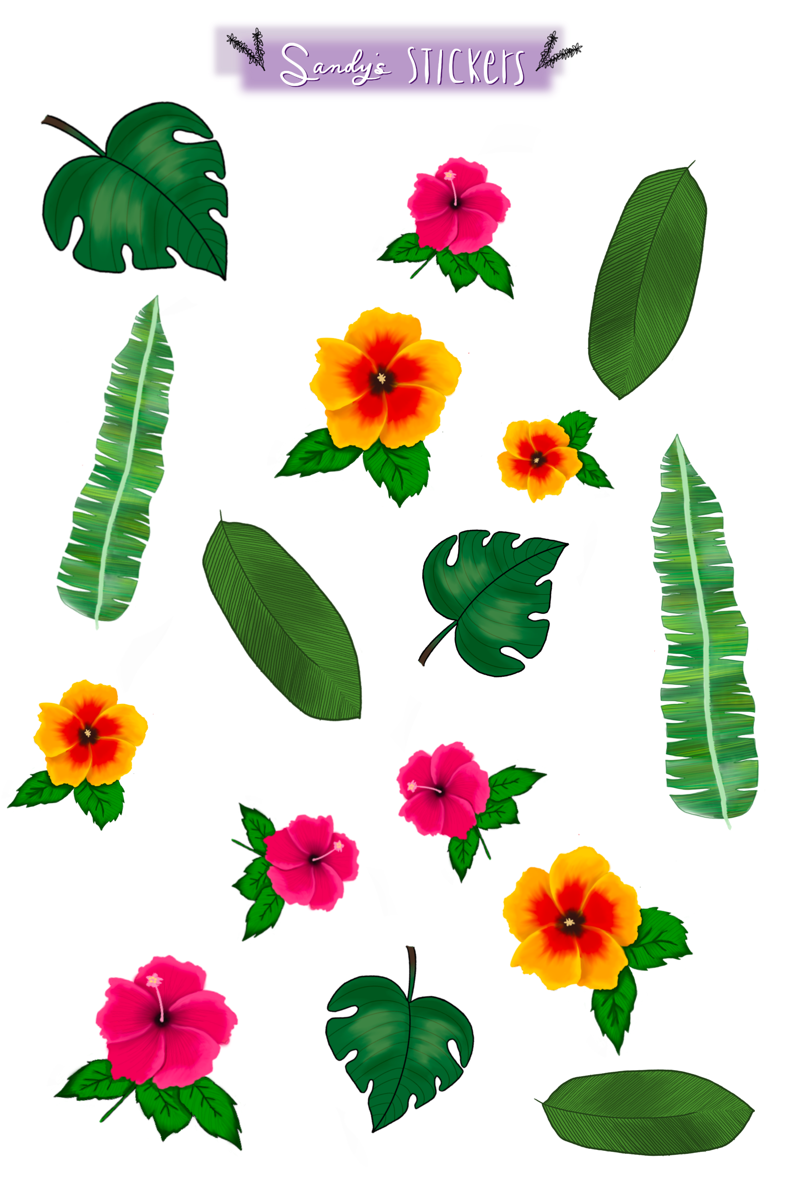 Tropical Rainforest